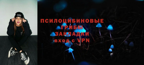ПСИЛОЦИБИНОВЫЕ ГРИБЫ Абаза