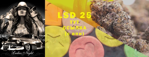 ПСИЛОЦИБИНОВЫЕ ГРИБЫ Абаза