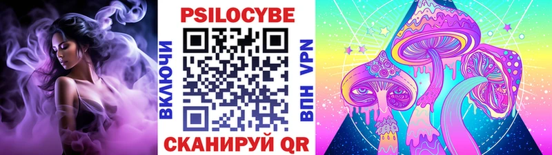 Галлюциногенные грибы Psilocybine cubensis  сколько стоит  OMG зеркало  Новочебоксарск 